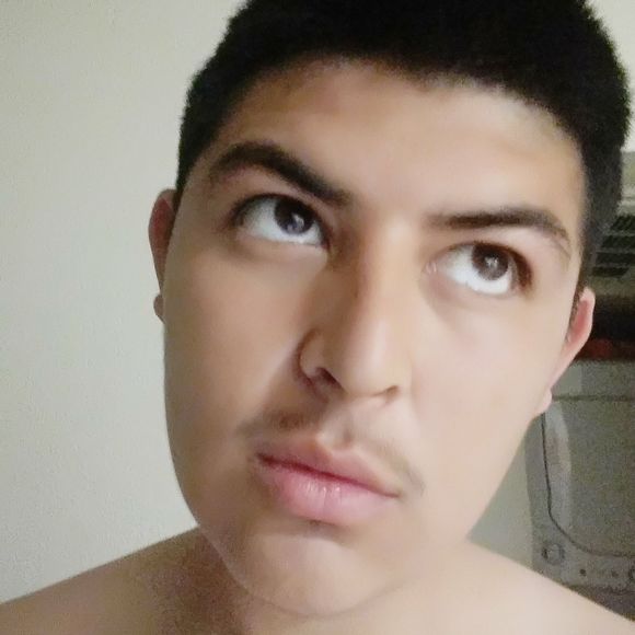 Meet your Posher, Luis - Picture 1 of 1
